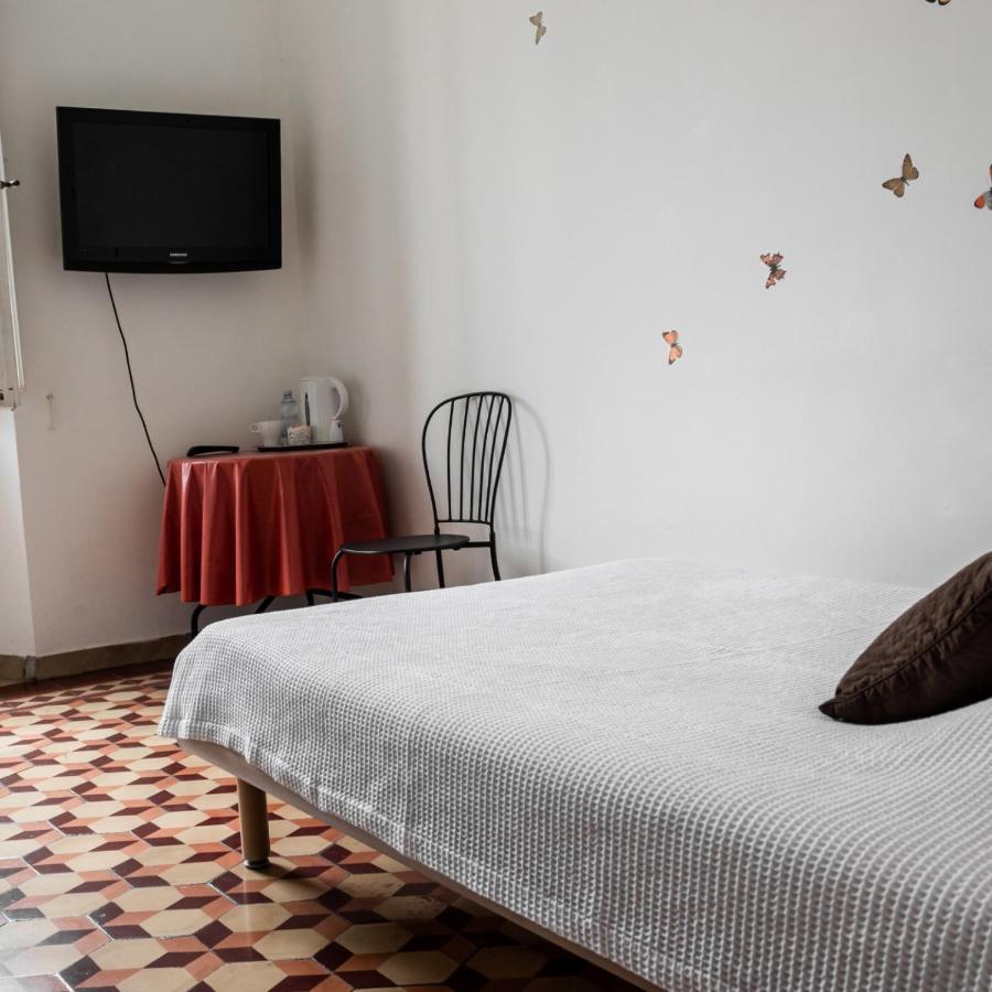 Arena Alfieri B&B Livorno Exterior photo